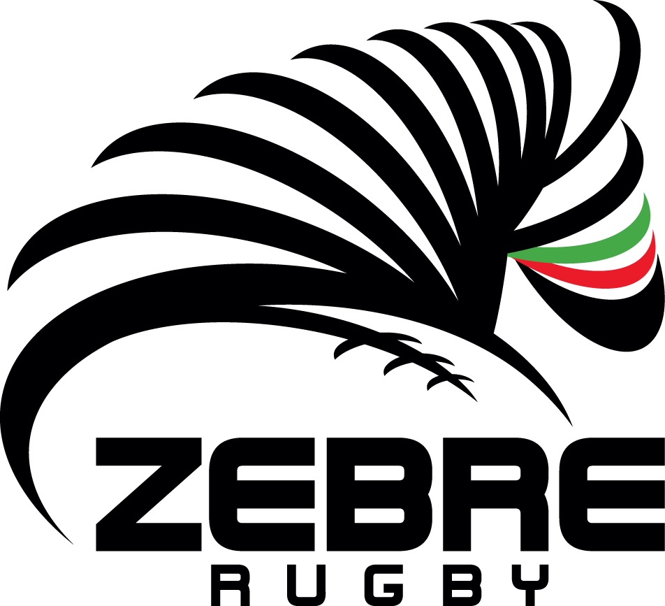 Zebre 2012-Pres Primary Logo iron on transfers for clothing